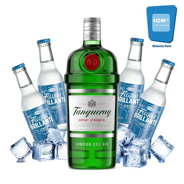 Tanqueray - Gin Tonic Cocktail Kit x 10 persone