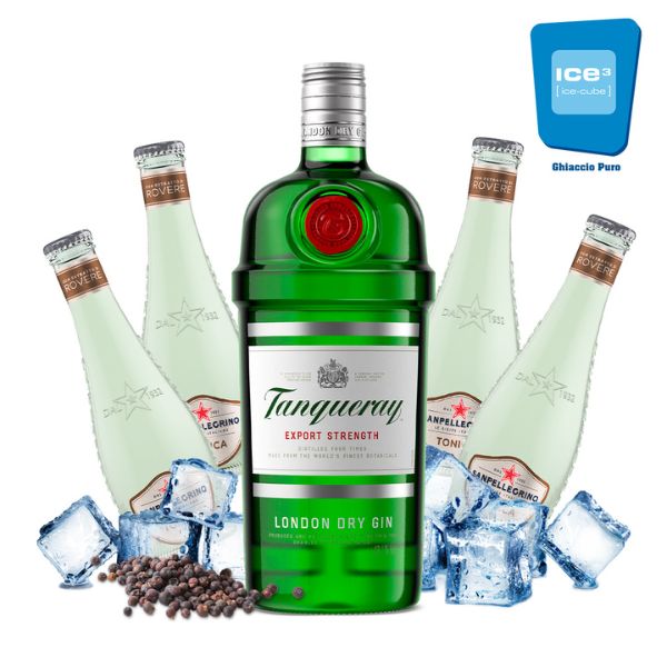 Sanpellegrino Wood Tonic Gin Tonic Kit con Ginepro - per 10 persone